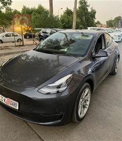 تێسلا مۆدێلی Y